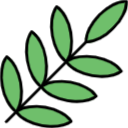 Nature icon